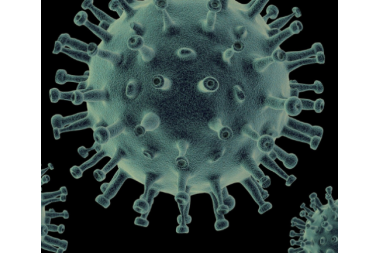 Insights+ Exclusive: COVID-19 Healthcare News Monthly Updates – June 2020